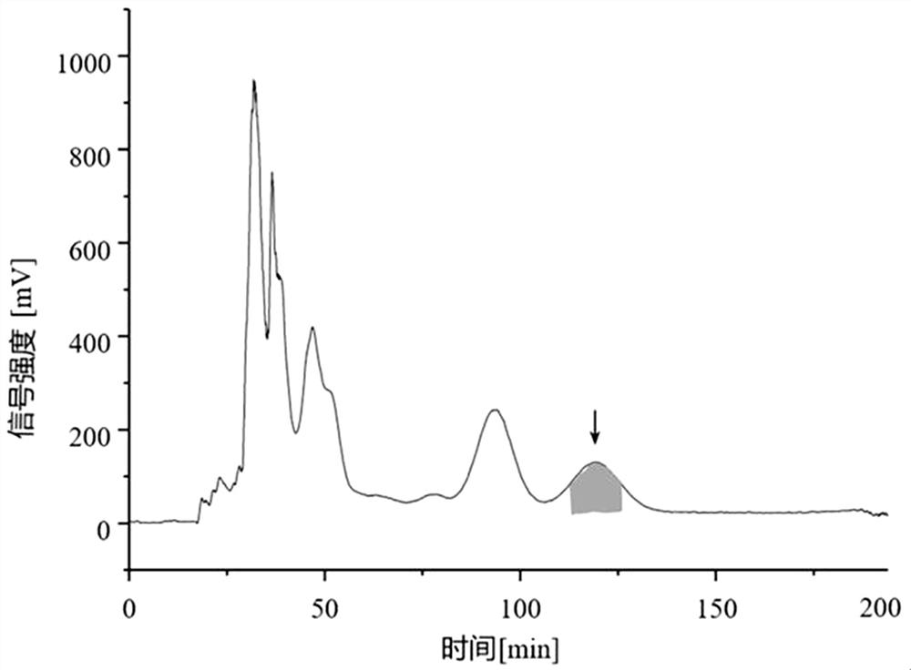 一种高速逆流色谱法从牛樟芝发酵物中分离安卓奎诺尔的方法