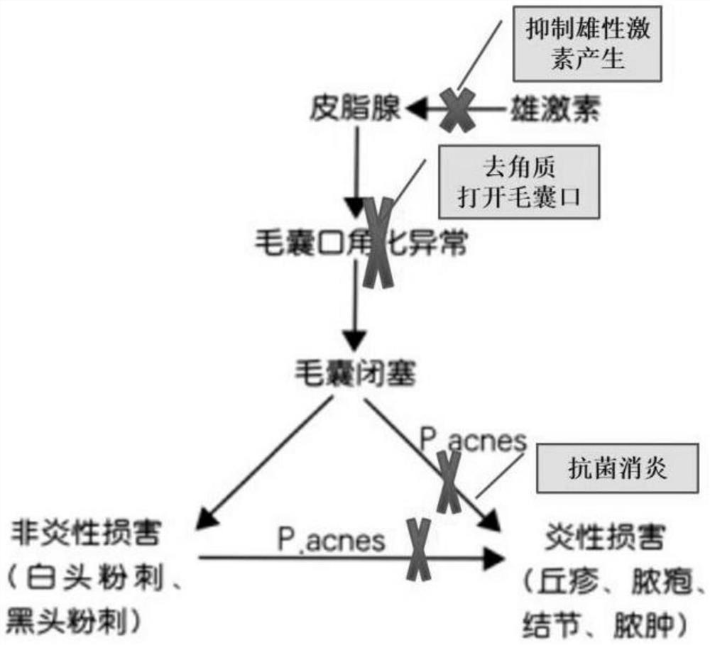 一种祛痘复方精油及制备方法