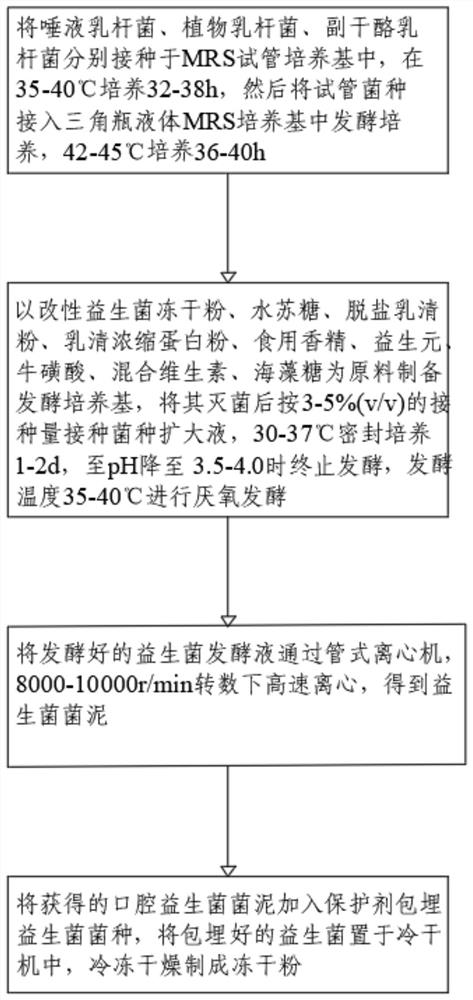 一种益生菌冻干粉