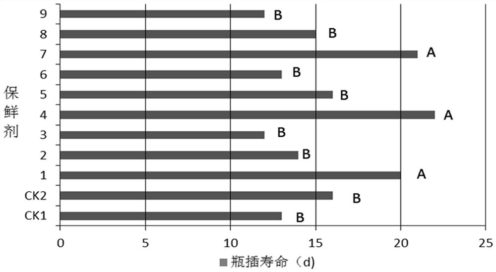 一种滇丁香切花保鲜剂