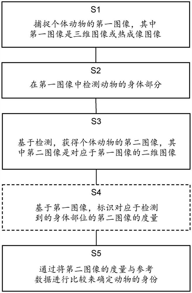 使用视觉技术的动物标识