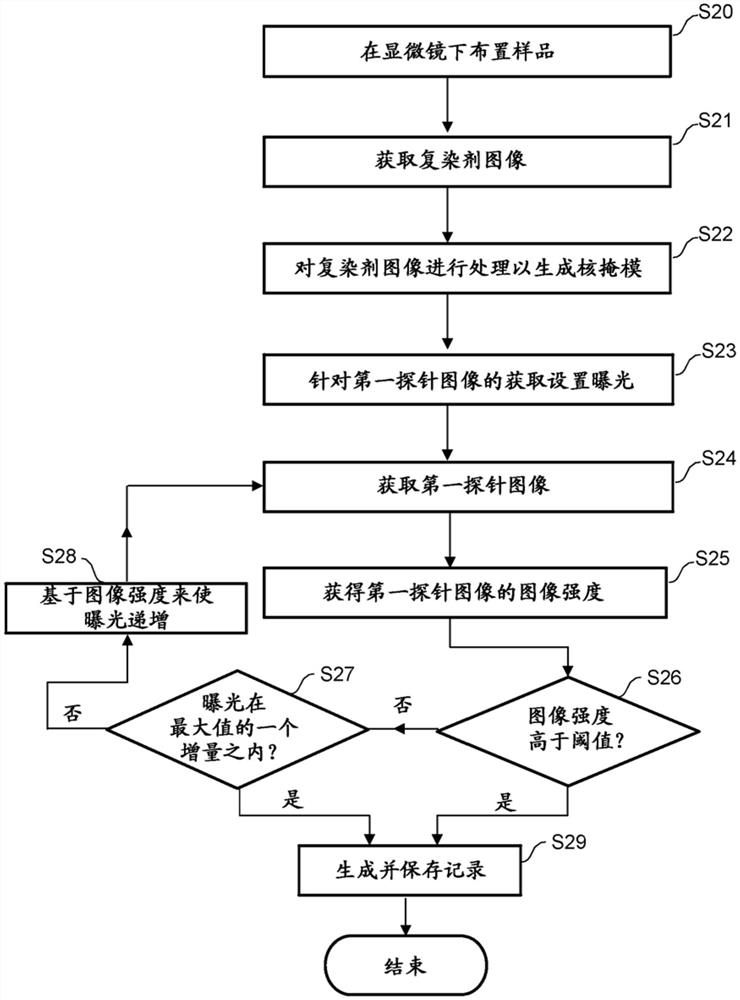 获取荧光原位杂交图像时的相机曝光控制