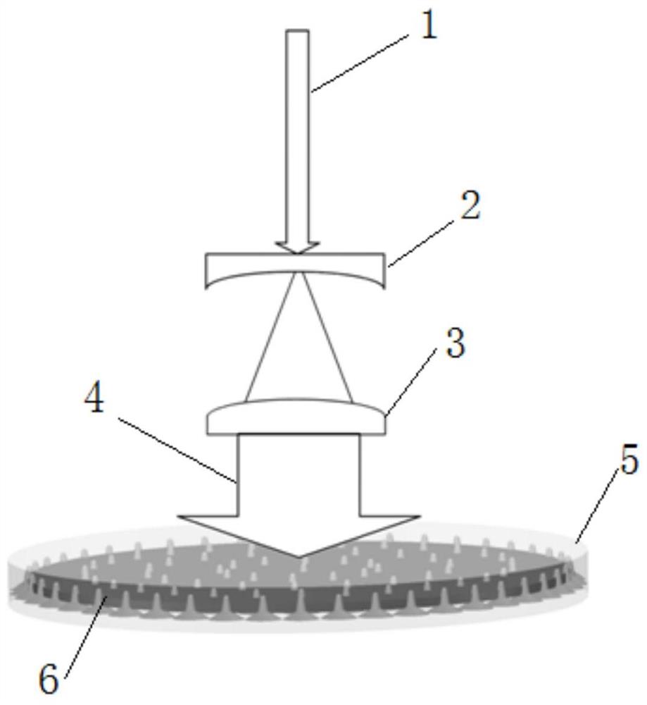 一种柔性可调谐生物仿生随机激光器