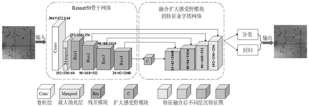 多路感受野引导的特征金字塔小目标检测网络及检测方法