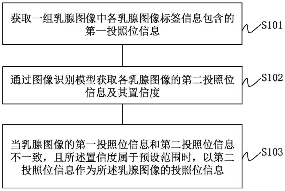 确定乳腺图像的投照位信息的方法及装置