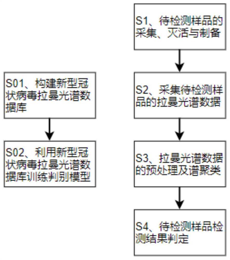 一种基于增强拉曼光谱和神经网络的新型冠状病毒检测方法及系统