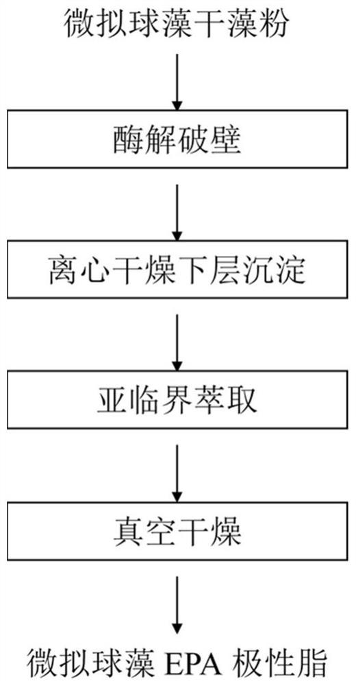 一种酶处理辅助提取微拟球藻EPA极性脂的方法