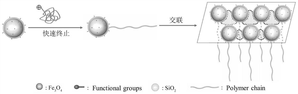 一种具有纳米级孔道的薄膜及其制备方法与应用