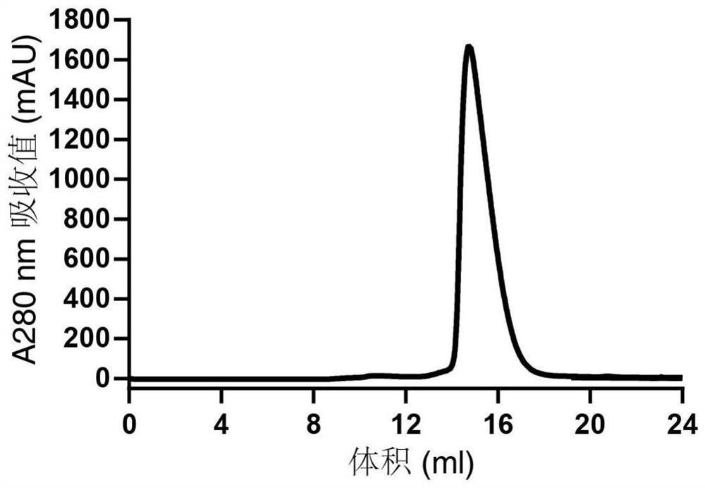 新型冠状病毒蛋白、制备方法及中和抗体检测试剂盒