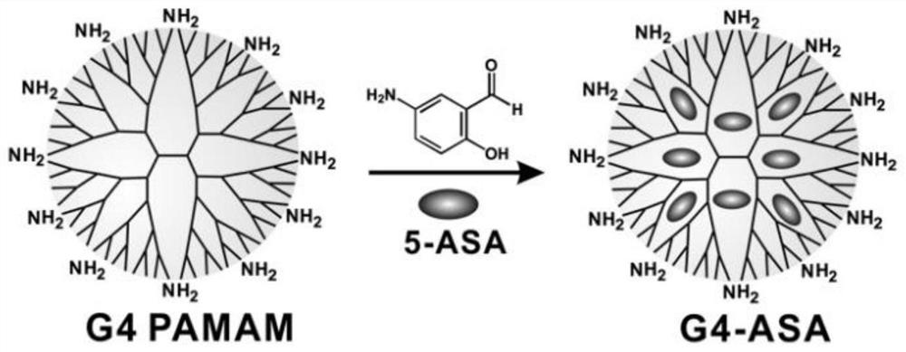 高水溶性5-氨基水杨酸药物组合物及制剂、制备和应用