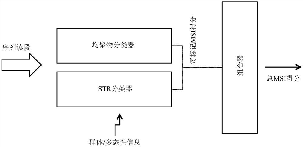 用于评估微卫星不稳定性状态的方法和系统