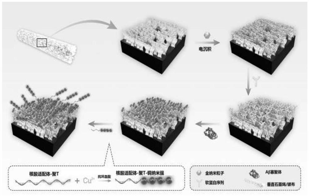 一种铜纳米簇作为电化学信号探针的β-淀粉样蛋白寡聚体传感器