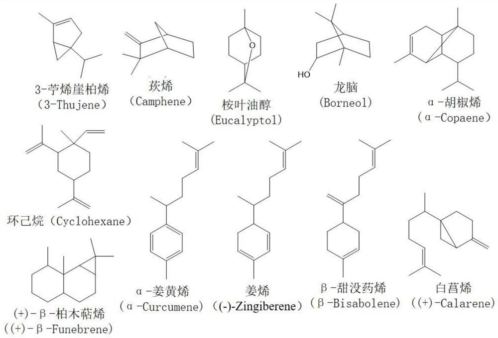 微发酵技术制备抗氧化功能性生姜粉的方法