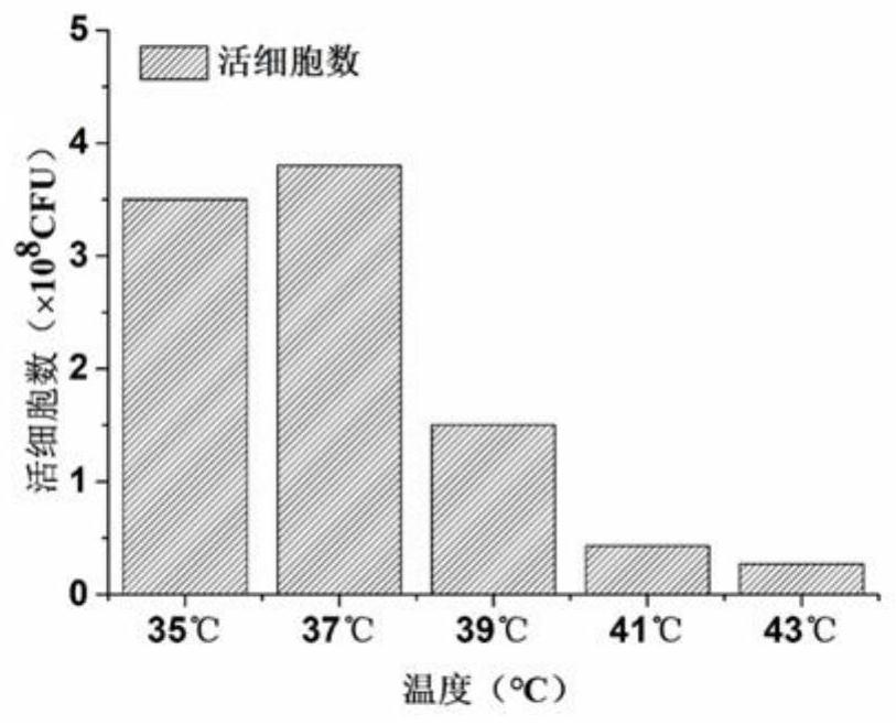 植物乳杆菌及其在果蔬汁发酵中的应用