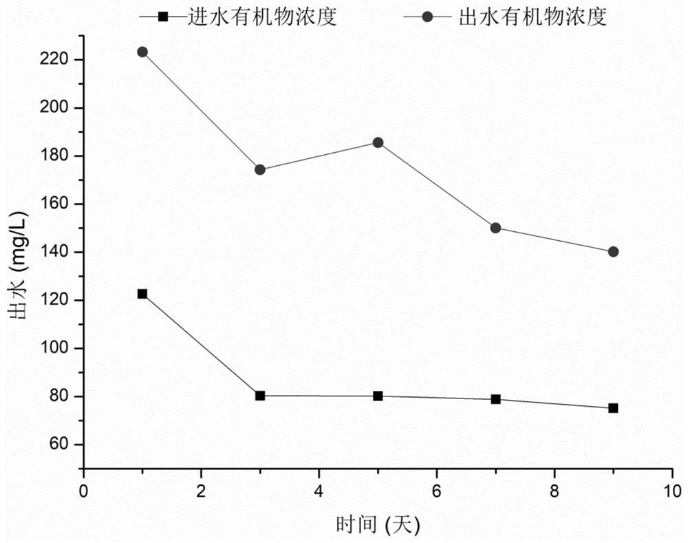 强化处理水中腐殖酸的生物菌剂及其制备方法和应用