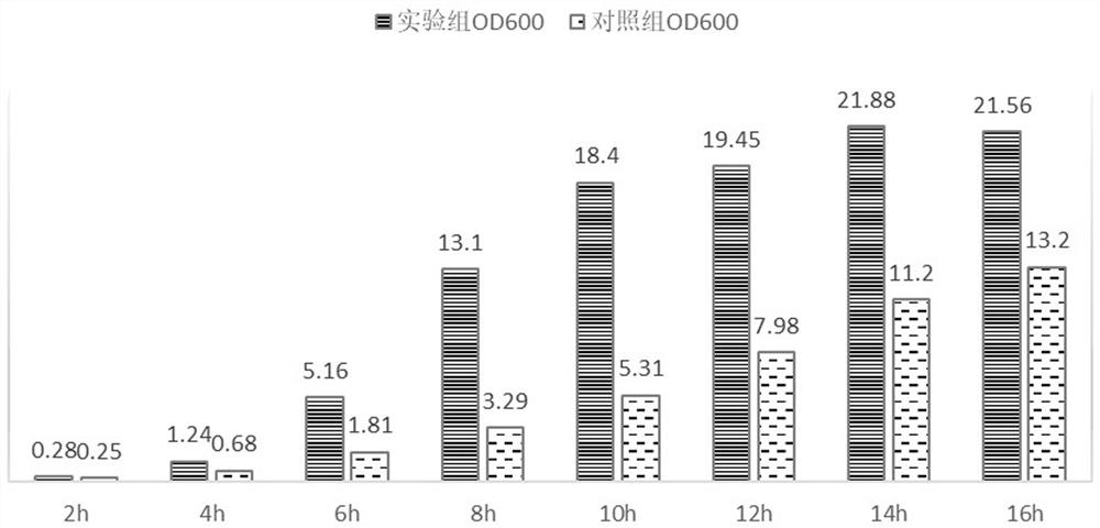 一种乳双歧杆菌高密度发酵培养基及发酵方法