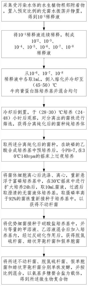 微生物复合物及其制备方法和采用其治理污染水体的方法