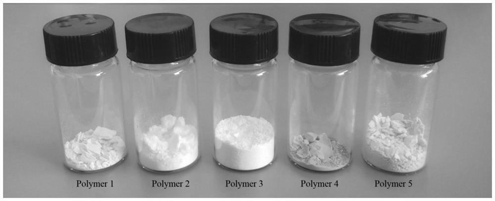 一种催化负载聚合物及其制备方法与应用