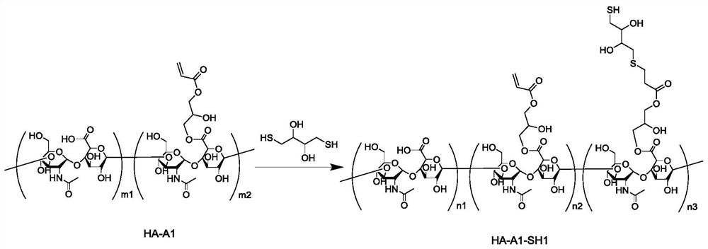 巯基改性透明质酸及其制备方法和用途