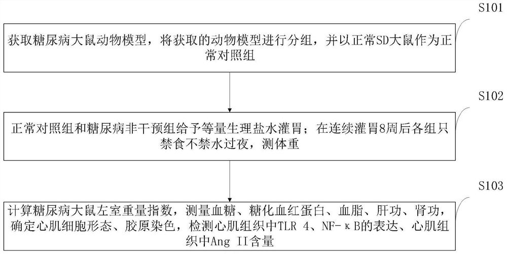 一种他汀类药物在制备治疗糖尿病心肌病的药物中的用途