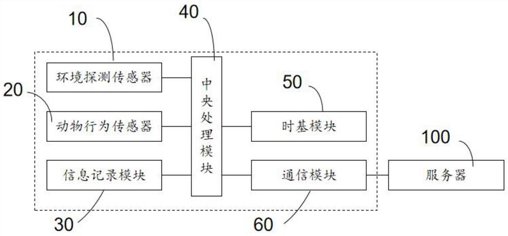 一种探测环境因素对动物导航行为影响的实验装置及方法