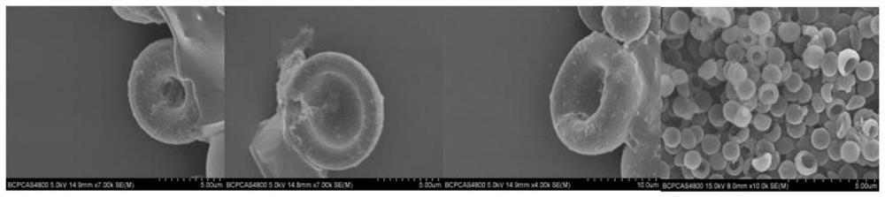 一种多层聚电解质微囊包裹全氟化碳形成的仿生红细胞及其制备方法