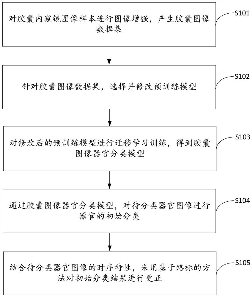 胶囊内窥镜图像器官分类方法、装置、设备及存储介质