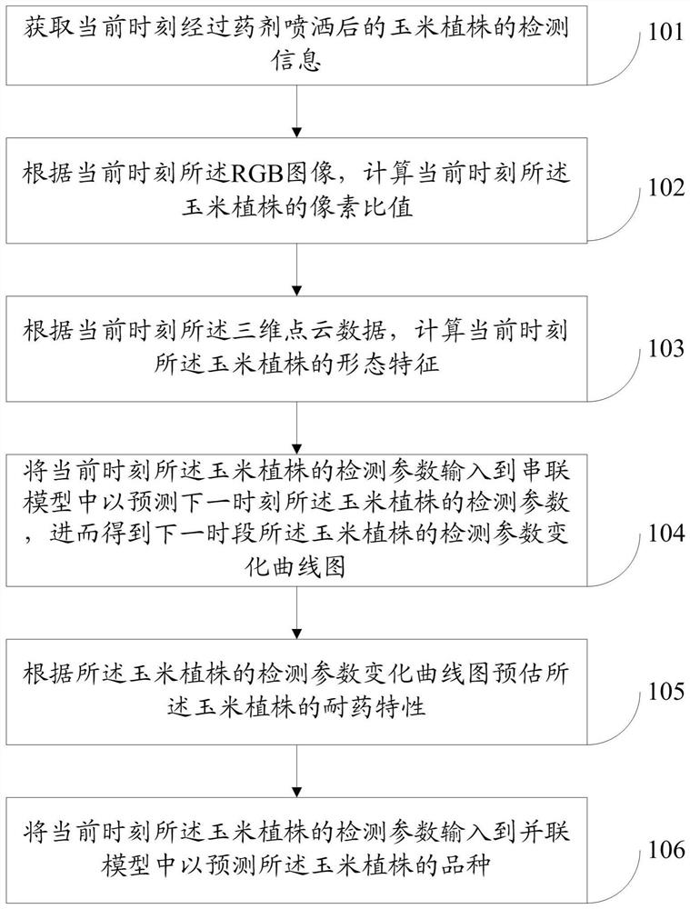 一种预测转基因玉米抗药性的数字检测方法及系统