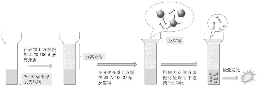 免清洗磁微粒化学发光免疫检测方法