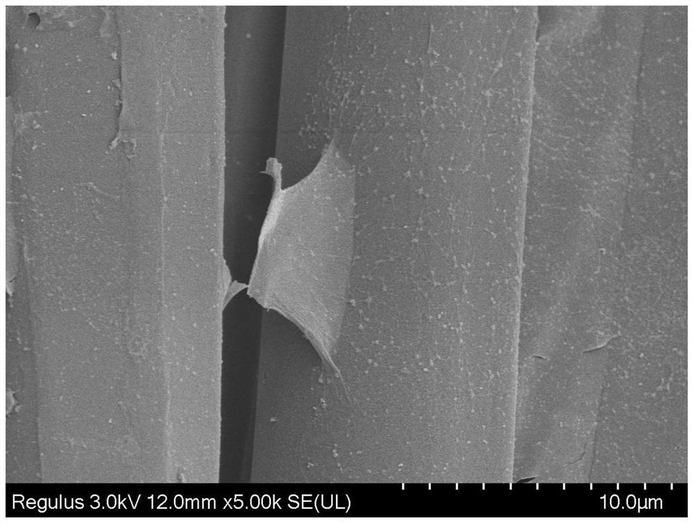 一种纳米银氧化石墨烯复合纳米材料整理纤维/织物的方法及纤维/织物