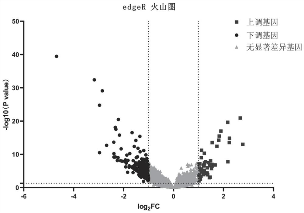 一种用于预测肝癌患者切除术后复发风险的生物标志物组合、试剂盒