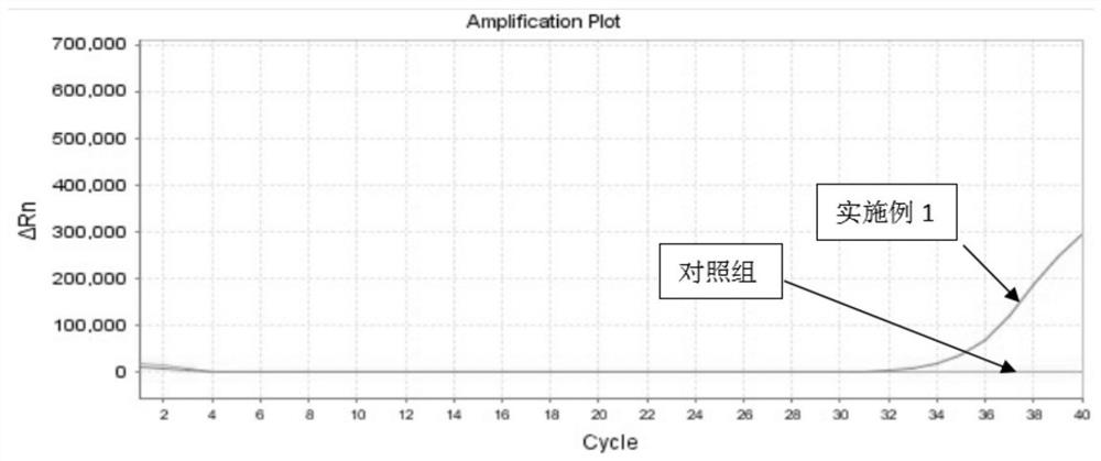 一种全预混RT-PCR反应体系及其应用