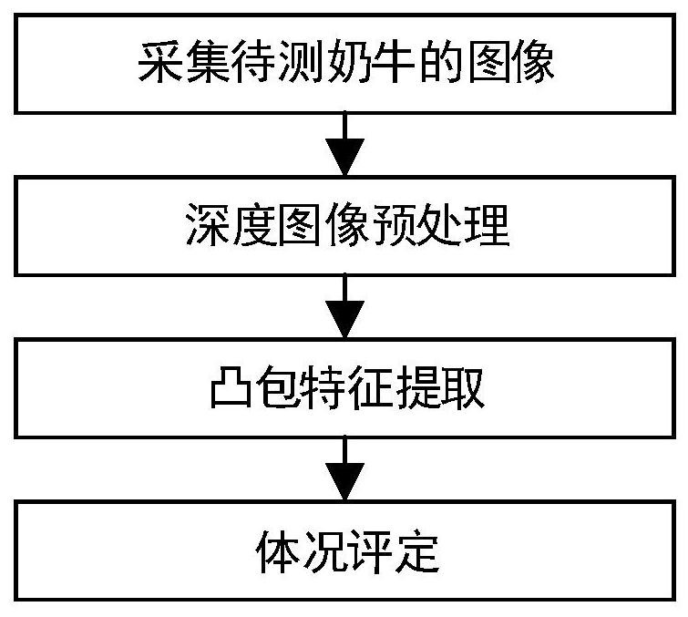 一种基于深度学习与点云凸包化特征的奶牛体况评分方法