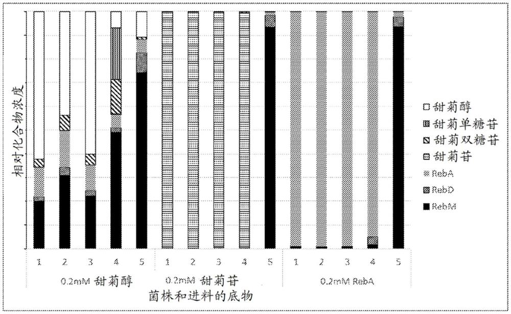 通过全细胞生物转化产生甜菊醇糖苷