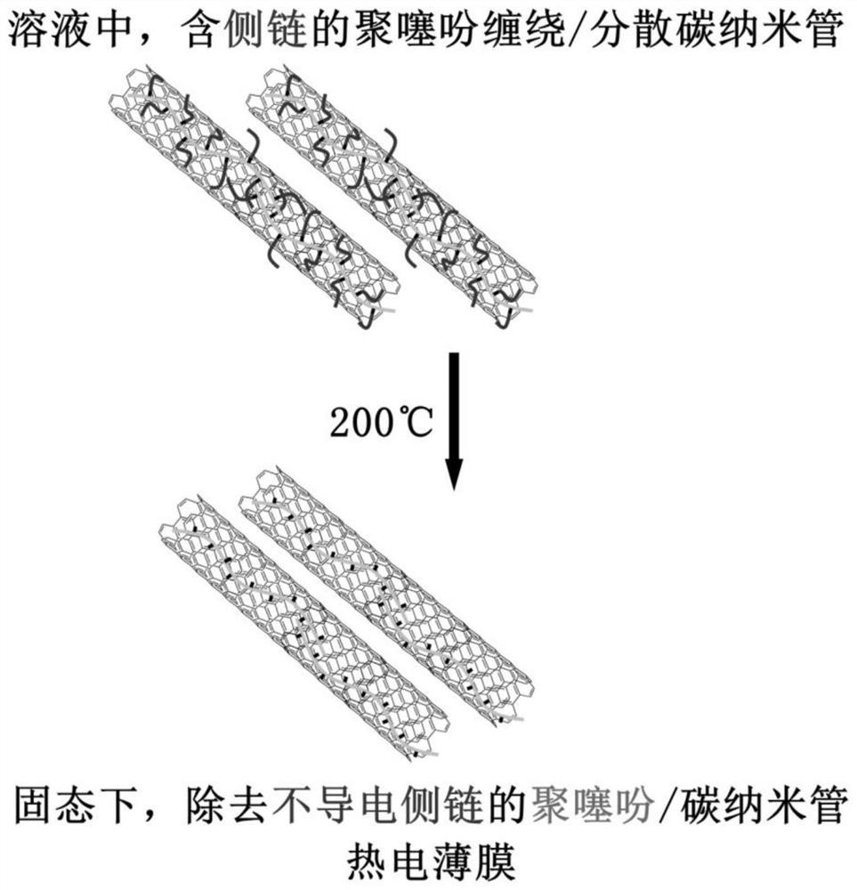 一种碳纳米管复合热电材料及其制备方法和应用