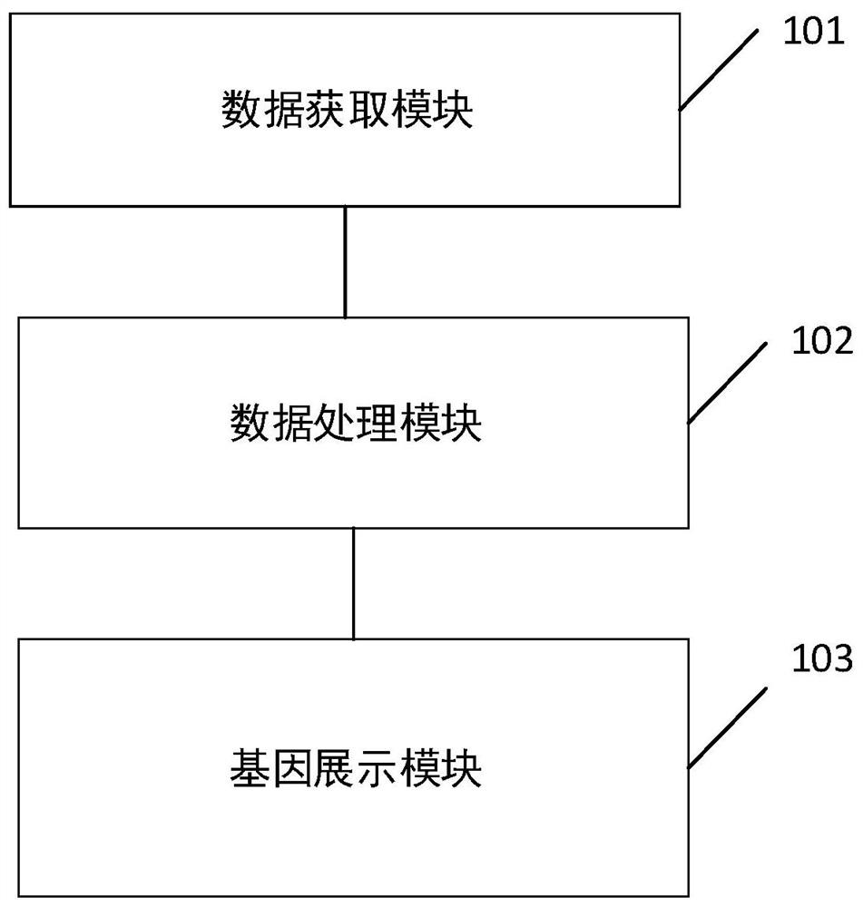 一种确定智力障碍基因的平台、方法、计算机设备和介质