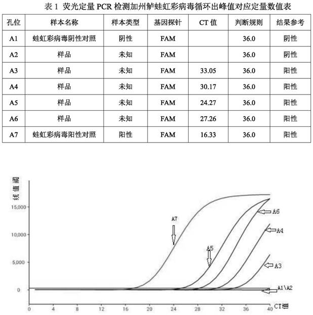 加州鲈蛙虹彩病毒疾病的防控方法