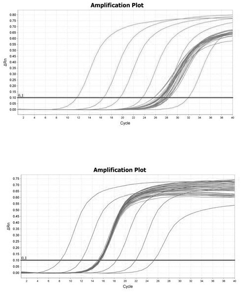 一种肝癌新型分子标记物tRF-Leu-AAG-007的检测试剂盒