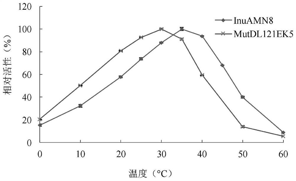 一种低温适应性改良的低温外切菊粉酶突变体MutDL121EK5及应用