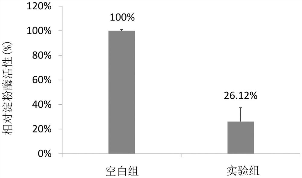 植物乳杆菌及/或其代谢产物用于制备减肥组合物的用途