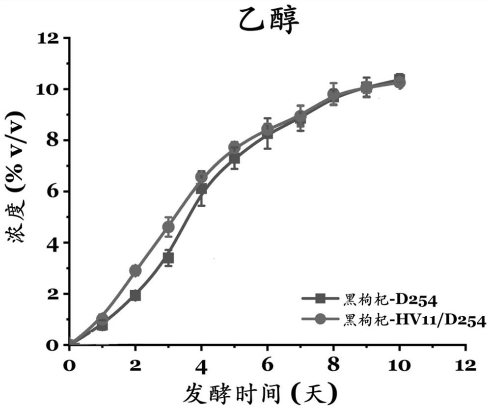 黑枸杞酒及其制备方法和复合酒