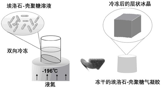 一种超弹性埃洛石-壳聚糖复合气凝胶的制备方法