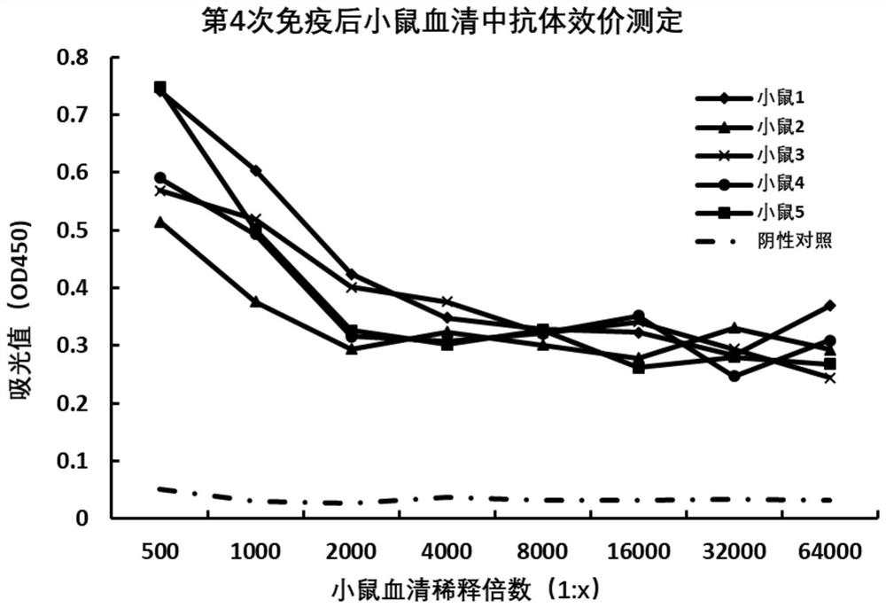 一种抗终末糖基化蛋白受体的抗体及其应用