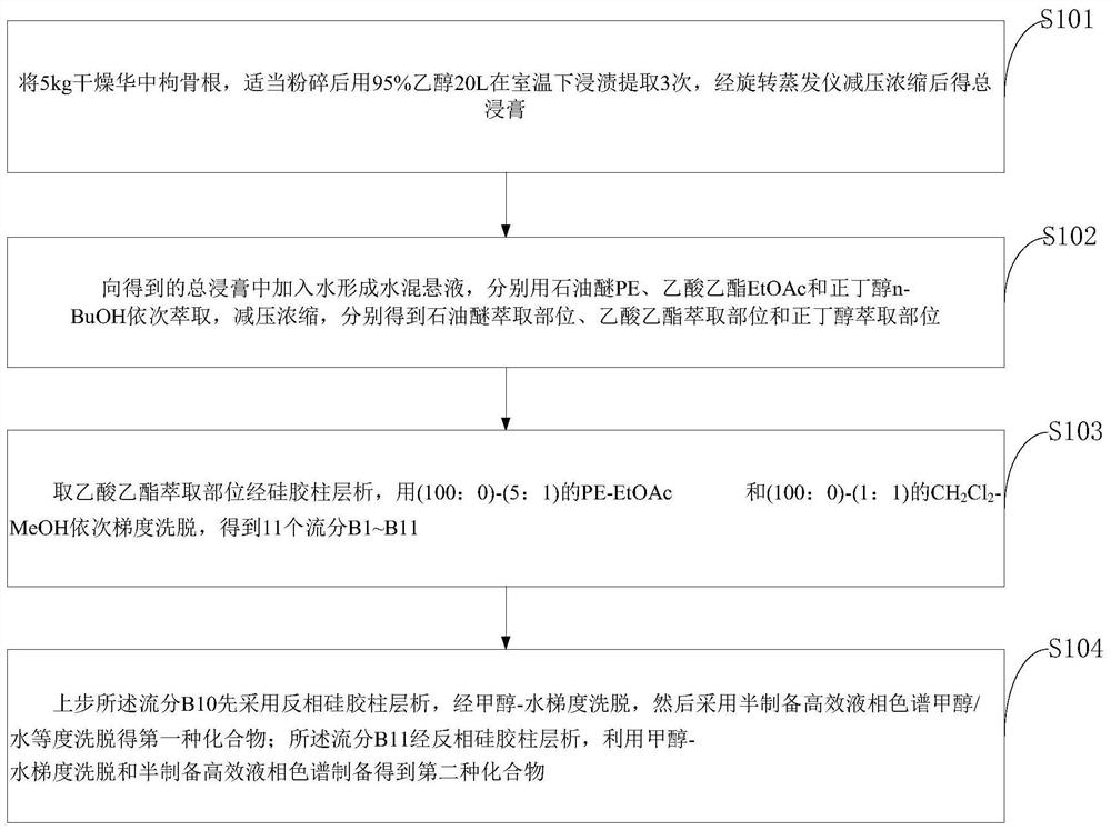 利用华中枸骨根提取的五环三萜皂苷类化合物、提取分离方法及用途