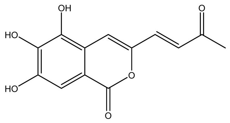 从酒茱萸中提取的具有降低胆固醇作用的化合物C及其制备方法与应用