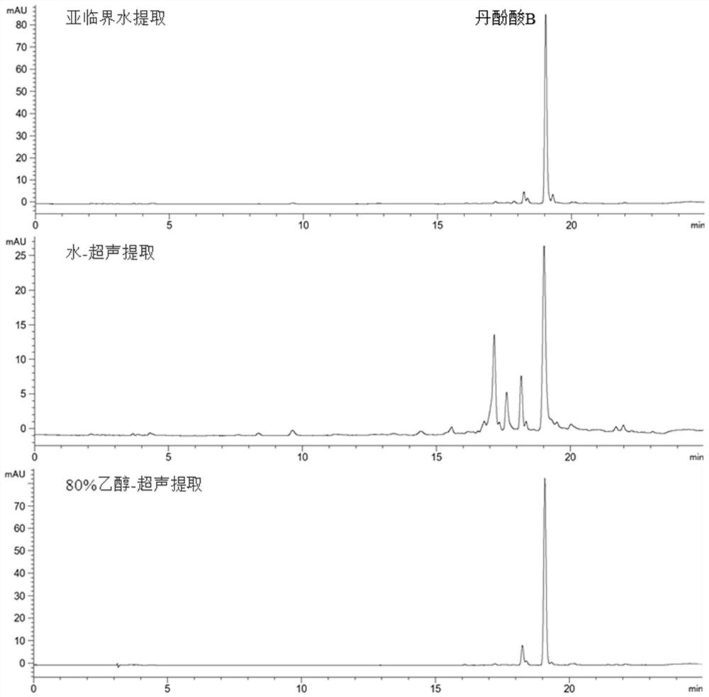 一种利用亚临界水提取丹酚酸B的方法