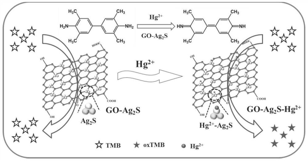汞促二维氧化石墨烯稳定Ag2S纳米模拟酶及其制备方法和应用