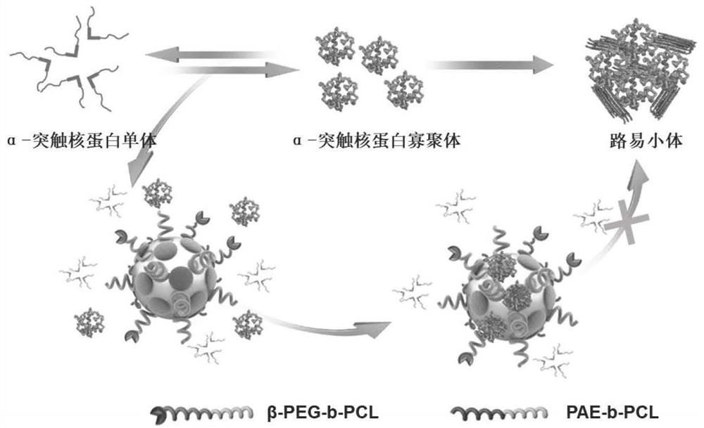 一种抑制α-突触核蛋白聚集的多肽功能化的复合胶束的制备方法及应用
