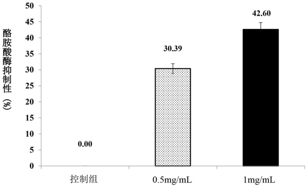 红藜汁液用于抗氧化及改善肌肤的用途