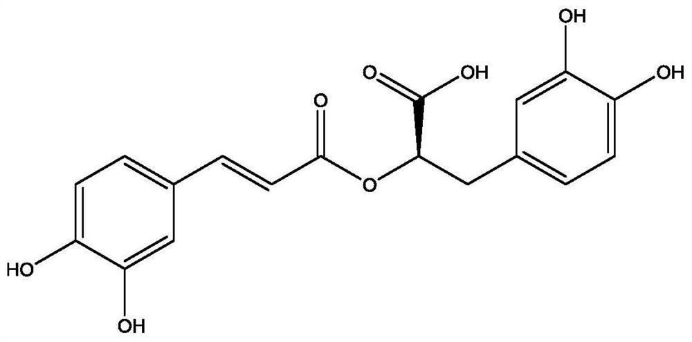 迷迭香酸或其衍生物作为新型TRPC1拮抗剂的药用制备及其应用